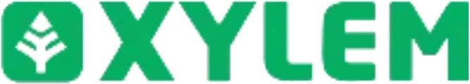 Xylem
