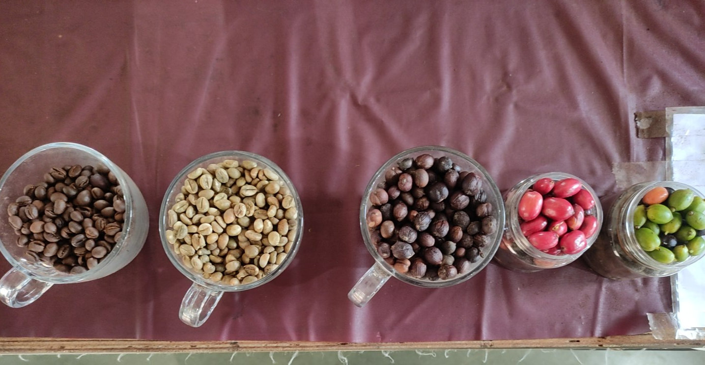 Cups of coffee beans and spices from Wayanad laid out on a table